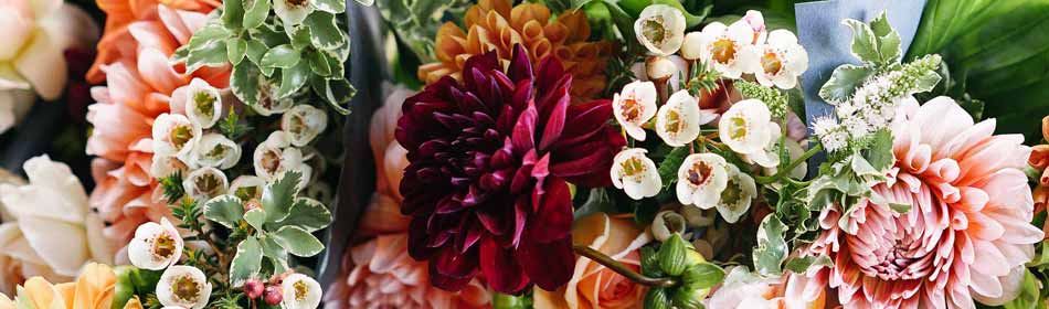 Florists, Floral Arrangements, Bouquets in the Warminster, Bucks County PA area